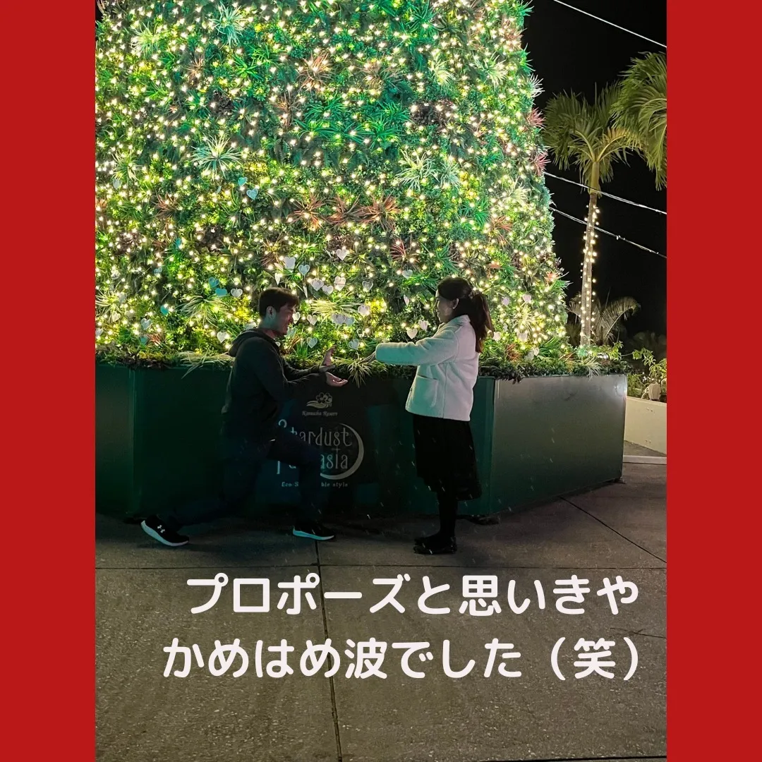 クリスマスシーズンですね。